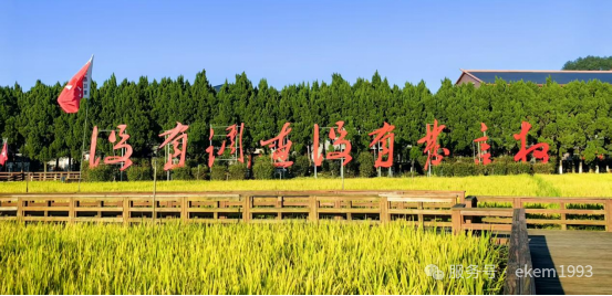 640 (11).png 640 (11).png